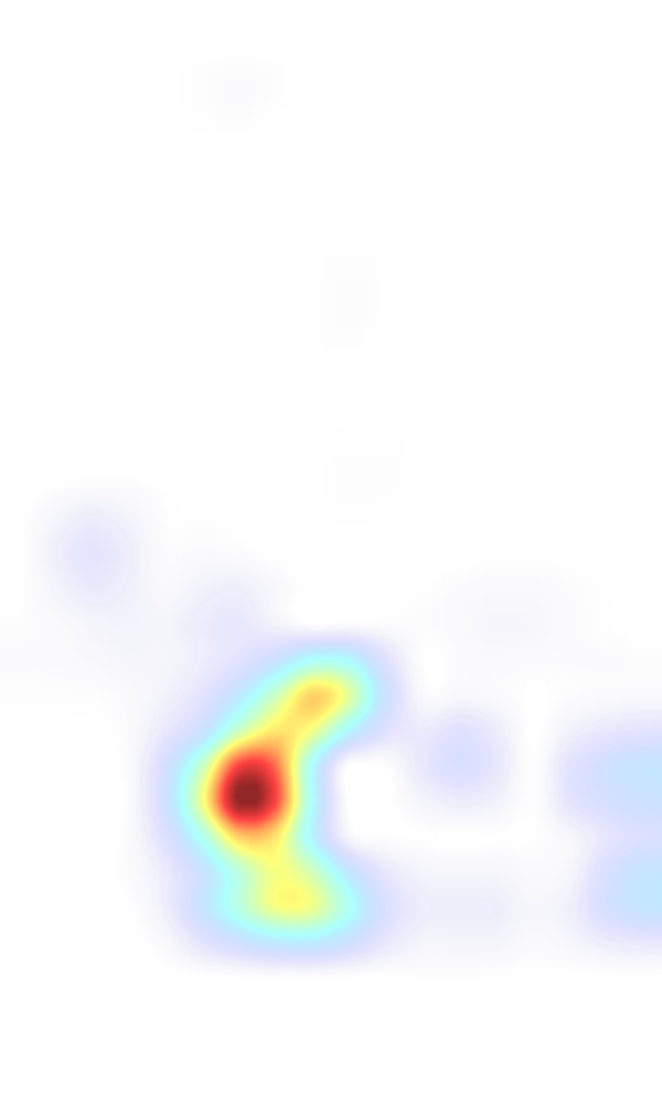 SD-RPN attention heatmap