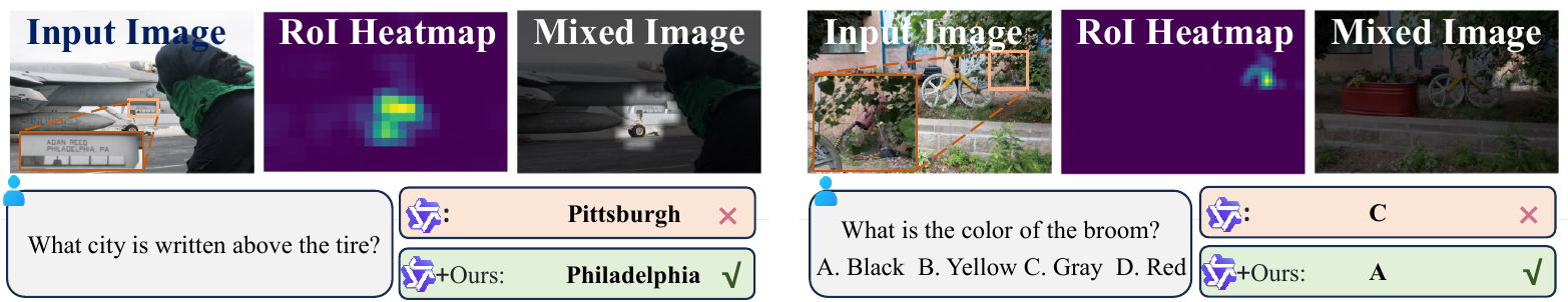 Q-Zoom qualitative examples with RoI heatmap