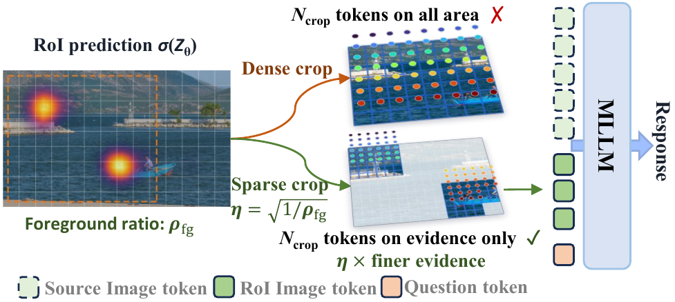 Sparse visual encoding