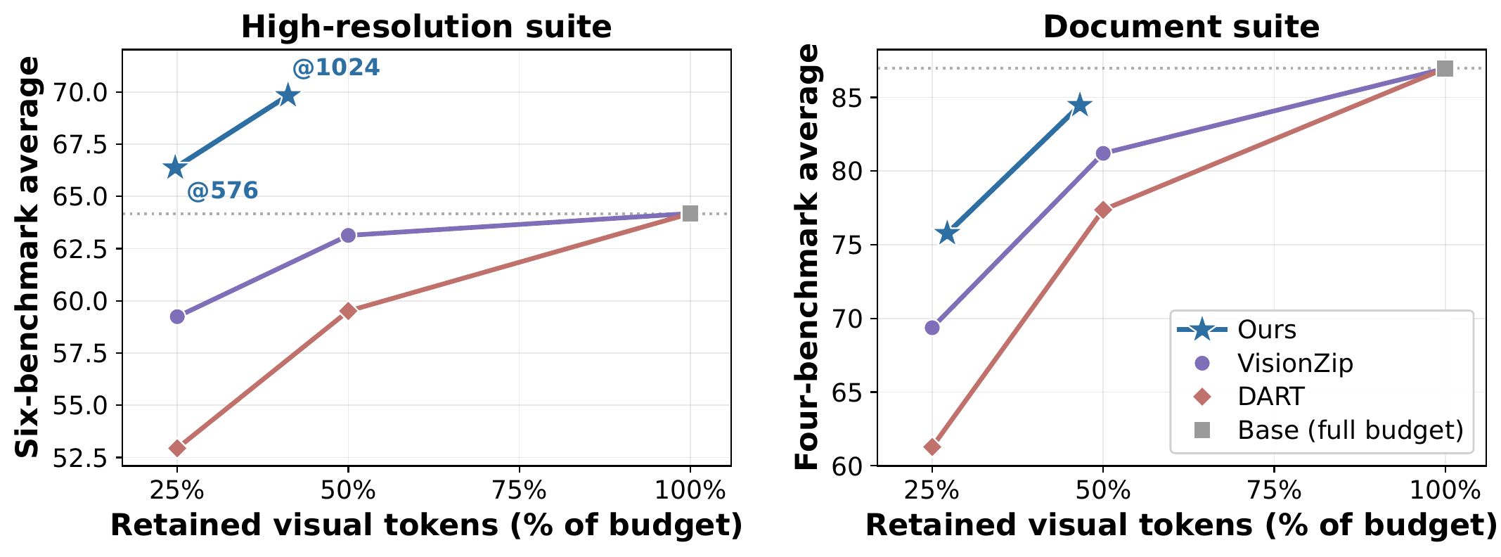 Comparison with visual token pruning